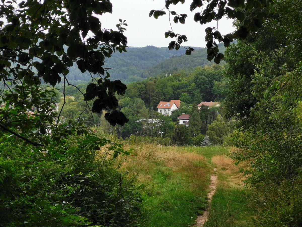 Haus Froehlich Appartement Michelstadt Buitenkant foto